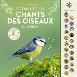 Reconnaître chants des oiseaux du jardin