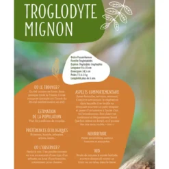Reconnaître chants des oiseaux du jardin