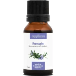Romarin - macérat de bourgeons bio 15ml 15