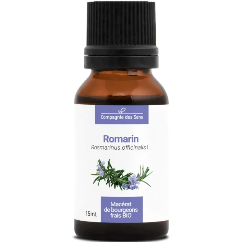 Romarin - macérat de bourgeons bio 15ml 15