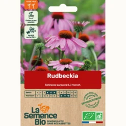 Rudbeckie echinacée bio