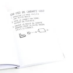 Saccage ce carnet !!