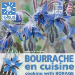Sachet de graines bourrache comestible