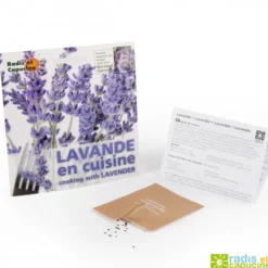 Sachet de graines de lavande comestible