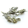 Sauge officinale - tisane bio - 50g