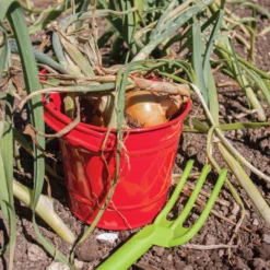 Seau de jardinage rouge pour enfants