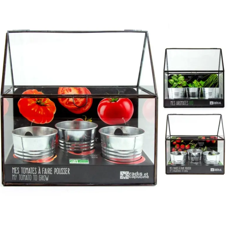 Serre châssis zinc noir - tomates