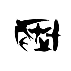 5 silhouettes d'oiseaux autocollantes an