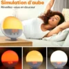 Simulateur d'aube - eveil en lumière