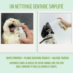 Spray dentaire chien & chat 100% naturel, hygiène, haleine, plaque, anti tarte