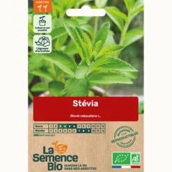 Stevia - graines bio