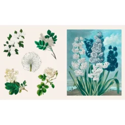 Stickers Treasury - Fleurs & Papillons