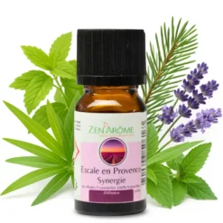 Synergie he escale en provence