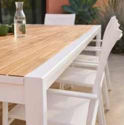 Table de jardin ayden