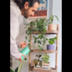 Étagère modulaire pour plantes couleur écorce de pin à 4 plateaux