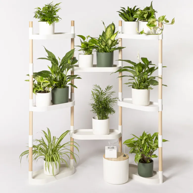 Étagère plantes blanche 8 arrosage auto