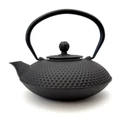 Théière en fonte jingdian noir