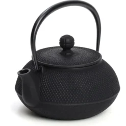 Théière japonaise Iwachu