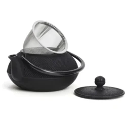 Théière japonaise Iwachu