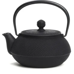 Théière japonaise Iwachu