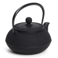 Théière japonaise Iwachu