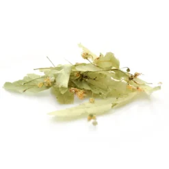 Tilleul (bractées) - 20gr bio