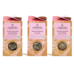Tisane glacée fruitée bio