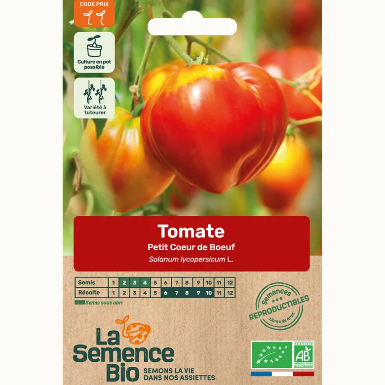 Tomate petit cœur de bœuf bio