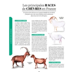 Traité Rustica des usages et savoirs de nos campagnes