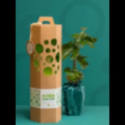 Un arbre naturellement - noisetier