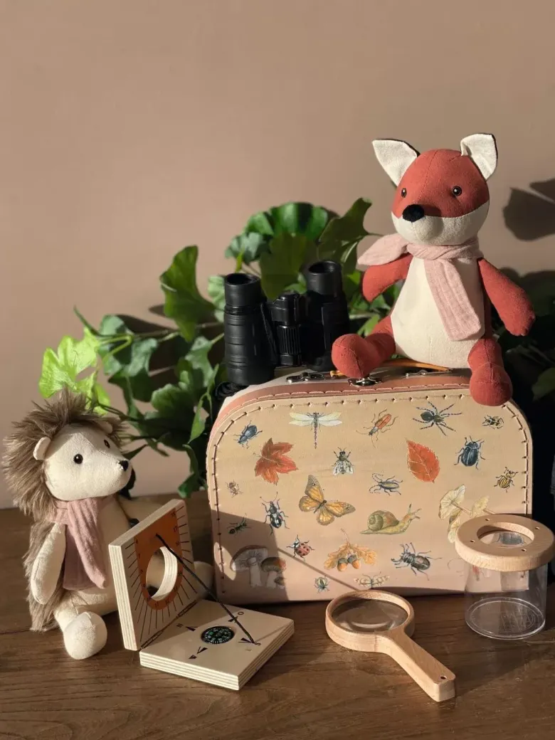Valise d'explorateur