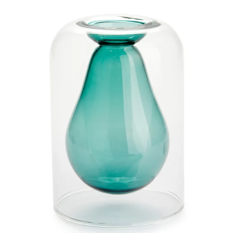Vase de germination avocat