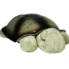 Veilleuse Twilight Tortue Mocha