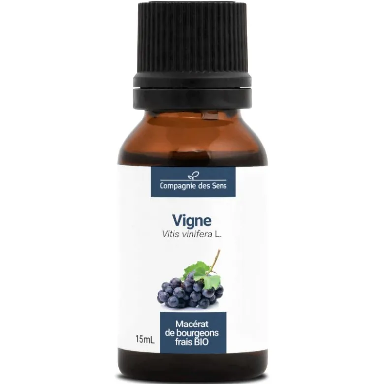 Vigne - macérat de bourgeons bio 15ml 15
