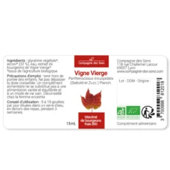 Vigne vierge macérat bourgeons bio 15ml 15