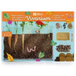 Vivarium découverte racines et lombrics
