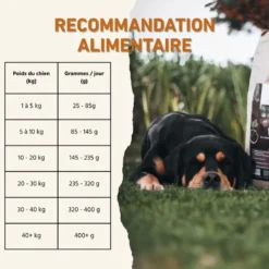 Wildfang® adult nourriture sèche au bœuf angus - sans céréales - 6 kg