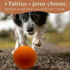 Wildfang - balle rebondissante « fabius » – 100 % caoutchouc naturel