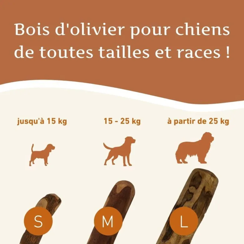 Wildfang® bâton à mâcher en bois d'olivier - taille m - 3 pieces