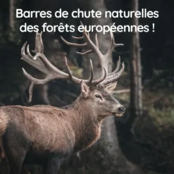 Wildfang - causer le bâton du cerf de jachère - 3 x m