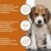 Wildfang® croquettes junior au poulet pour chiots - sans céréales - 6 kg