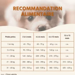 Wildfang® croquettes junior au poulet pour chiots - sans céréales - 6 kg