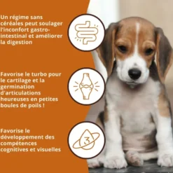 Wildfang® croquettes junior au poulet pour chiots - sans céréales - 2 x 2 kg