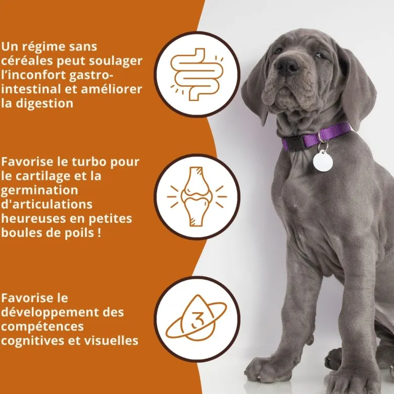 Wildfang® croquettes junior au saumon pour chiots - sans céréales - 2 kg