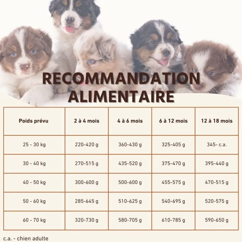 Wildfang® croquettes junior au saumon pour chiots - sans céréales - 2 kg
