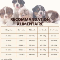 Wildfang® croquettes junior au saumon pour chiots - sans céréales - 2 x 2 kg