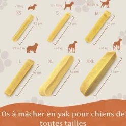 Wildfang® fromage à mâcher - bâton à mâcher au fromage à pâte dure - 1 x xs