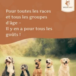 Wildfang huile de saumon 250 g — complément d'oméga pour chiens