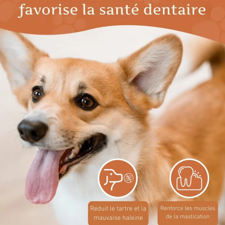 Wildfang - mâcher des racines de bruyère arborescente - 1 x s