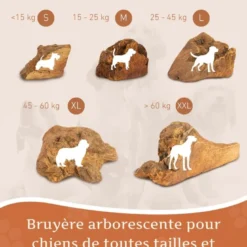 Wildfang - mâcher des racines de bruyère arborescente - 1 x s